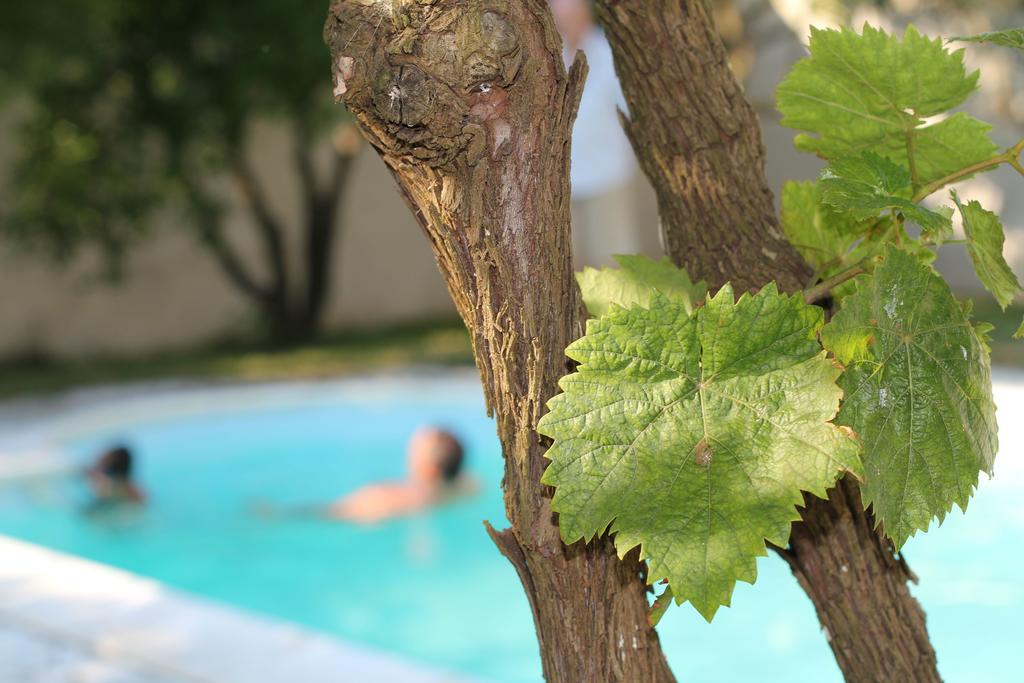 B&B Villa Romina San Cataldo  Εξωτερικό φωτογραφία
